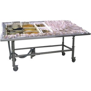 SARO Fishdisplay Modell MODP1100